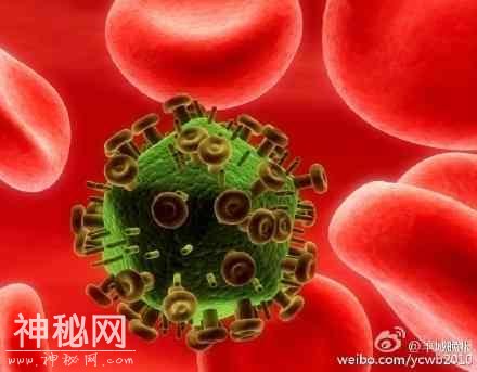 港大成功研发新抗体药物 能预防和清除艾滋病病毒-1.jpg