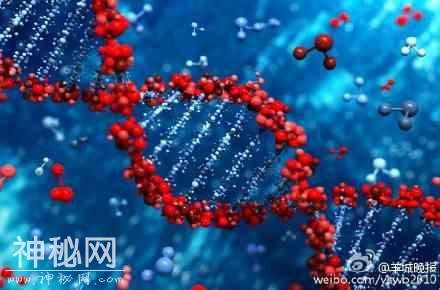 港大成功研发新抗体药物 能预防和清除艾滋病病毒-7.jpg
