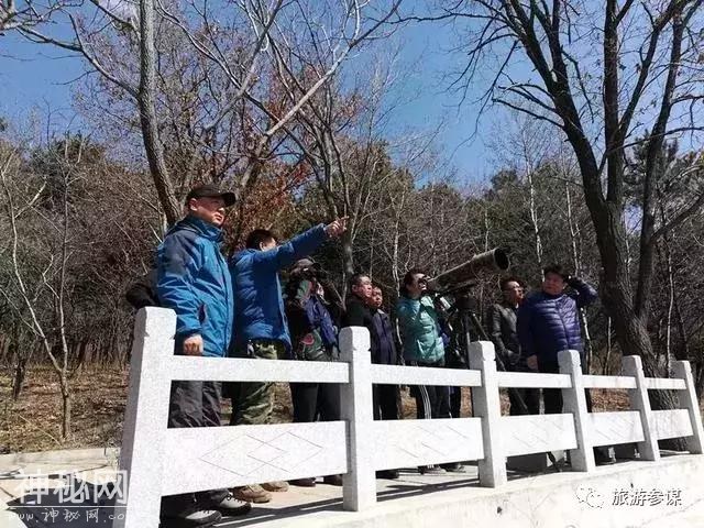 观鸟品鱼看民俗，叶赫开河鱼美食节启幕-19.jpg