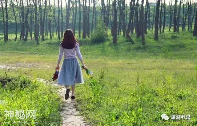 观鸟品鱼看民俗，叶赫开河鱼美食节启幕-32.jpg