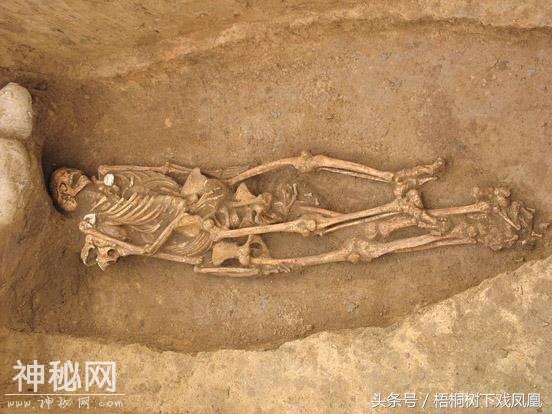 一件楚国女性用品上发现的故事，考古发掘时看到古代盗洞内埋一人-12.jpg