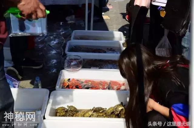 赶大集、赏民俗，无锡荡口薛司娘桥庙会燃爆小长假-41.jpg