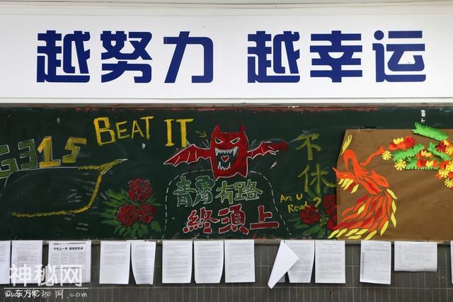 18050期大乐透四种历史走势图分享，技术性彩友的福音-1.jpg