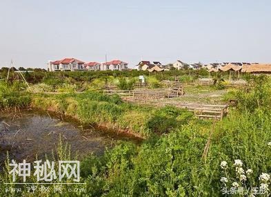 到上海浦东旅游可以了解当地民俗文化-1.jpg