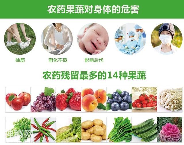 70%果蔬有农残！如诺病毒爆发季，果蔬这样才干净！-6.jpg