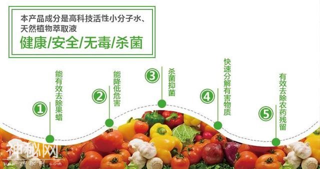70%果蔬有农残！如诺病毒爆发季，果蔬这样才干净！-12.jpg