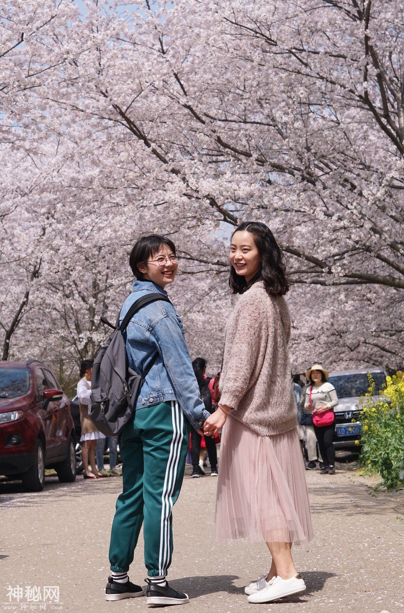 图虫人文摄影：迟到的赏樱图-5.jpg