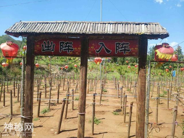孩子们的暑假怎么渡过？-18.jpg