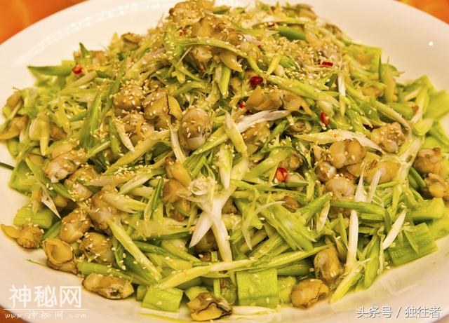海洋生物的活化石 世间珍馐皮皮虾-13.jpg