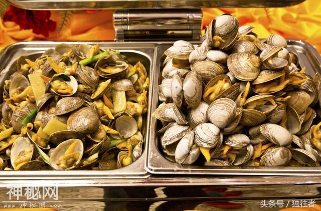海洋生物的活化石 世间珍馐皮皮虾-15.jpg