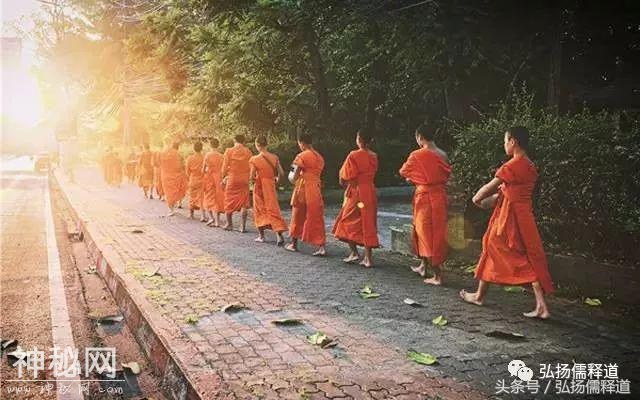 不小心踩死动物该怎么办-1.jpg