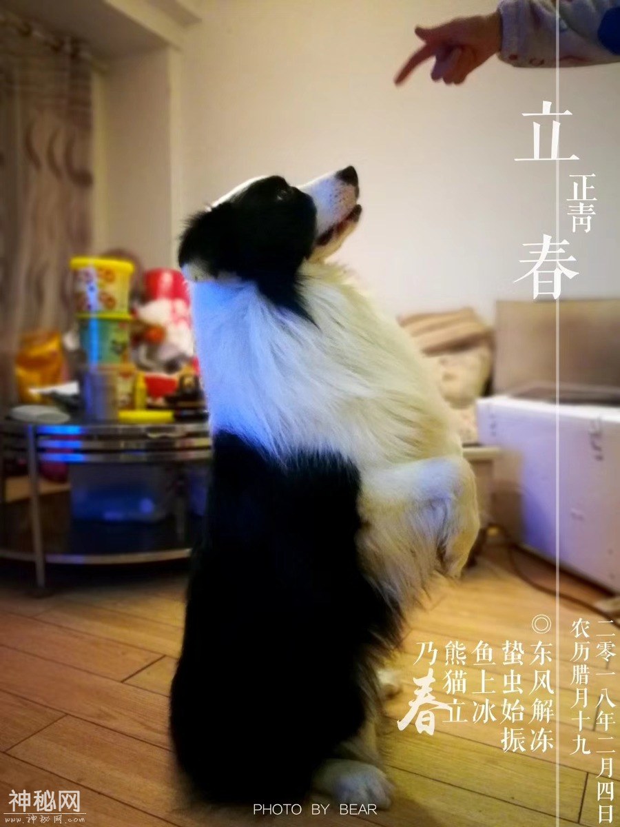 图虫人文摄影：发点熊猫的老图-8.jpg