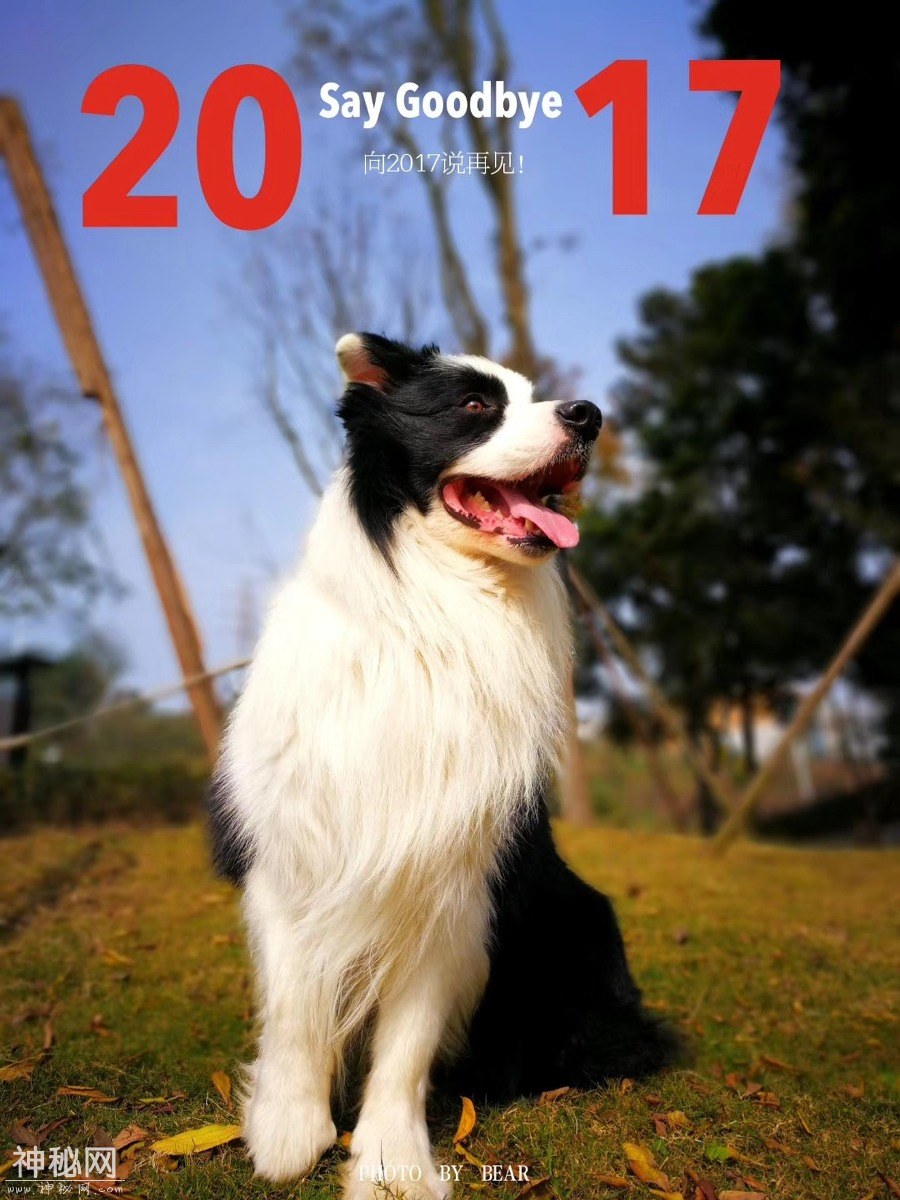 图虫人文摄影：发点熊猫的老图-10.jpg