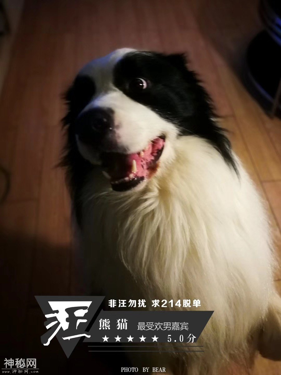 图虫人文摄影：发点熊猫的老图-7.jpg