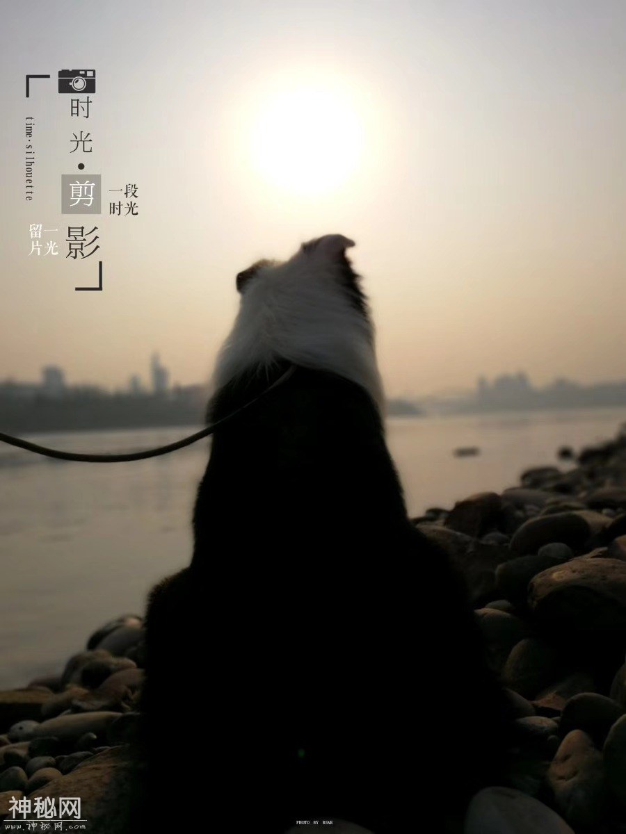 图虫人文摄影：发点熊猫的老图-9.jpg