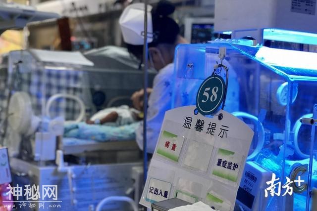 七天！只要七天！广东这项“黑科技”让危重患儿不用等太久！-1.jpg