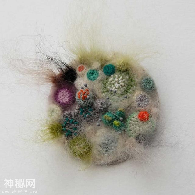 培养皿中生长着钩针和刺绣的细菌-7.jpg