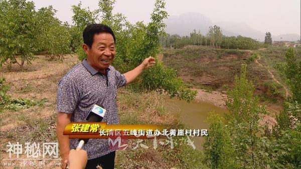 考古济南⑨｜逄国、邿国……周代济南的古国迷踪-1.jpg