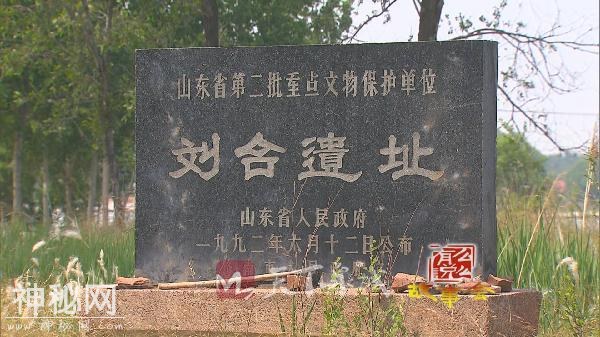 考古济南⑨｜逄国、邿国……周代济南的古国迷踪-15.jpg