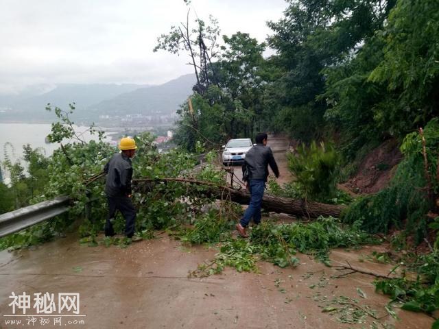 暴雨袭击山城 部分区县遭遇地质灾害-7.jpg