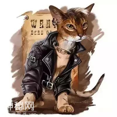 动物插画欣赏-2.jpg