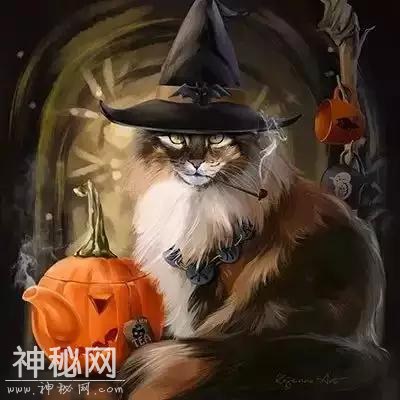 动物插画欣赏-4.jpg