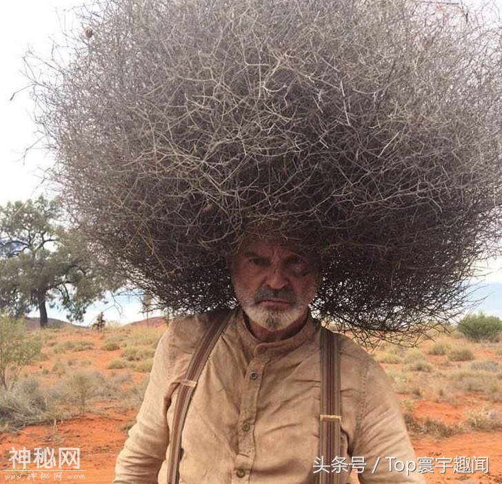 19张好像是在另一个星球拍的照片-11.jpg