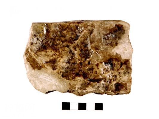 地质教学样本-陆源碎屑岩-3.jpg