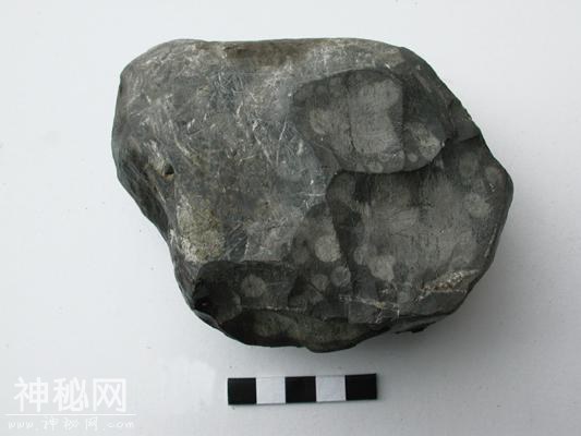 地质教学样本-陆源碎屑岩-1.jpg