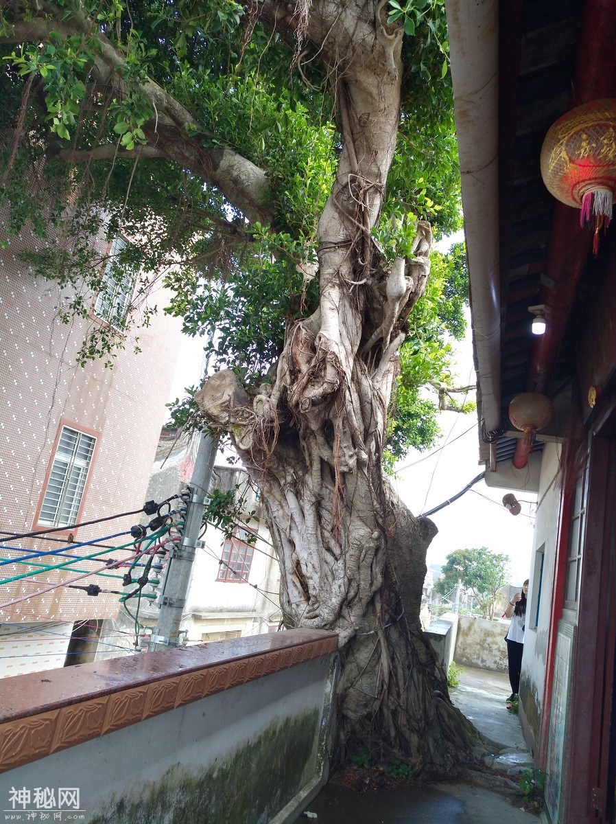 图虫人文摄影：靖海古村随手拍-3.jpg