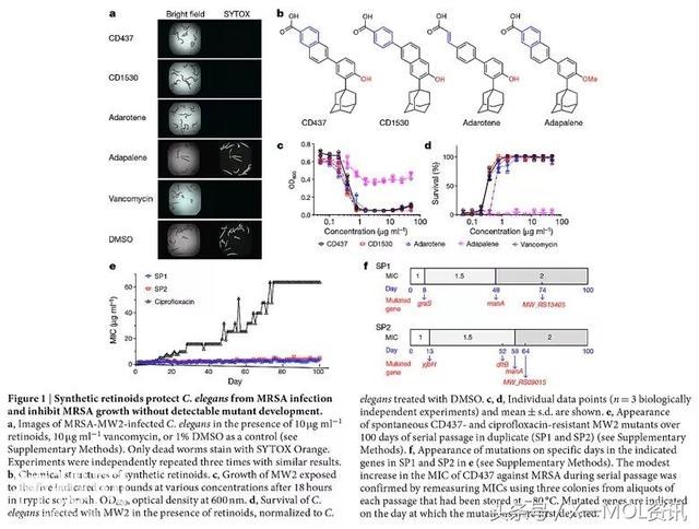 对付“滚刀肉”细菌：Nature报道新型类维生素A抗生素-2.jpg