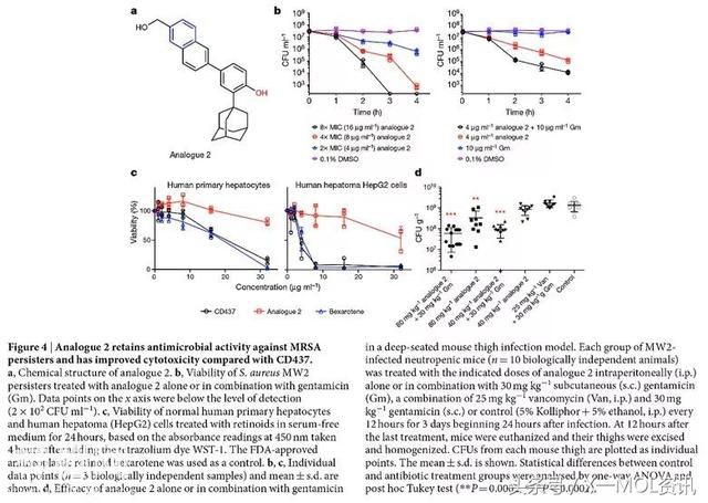 对付“滚刀肉”细菌：Nature报道新型类维生素A抗生素-4.jpg