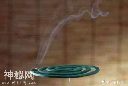 蚊香对人体有害？-1.jpg