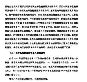 凯迪生态环境科技股份有限公司-2.jpg
