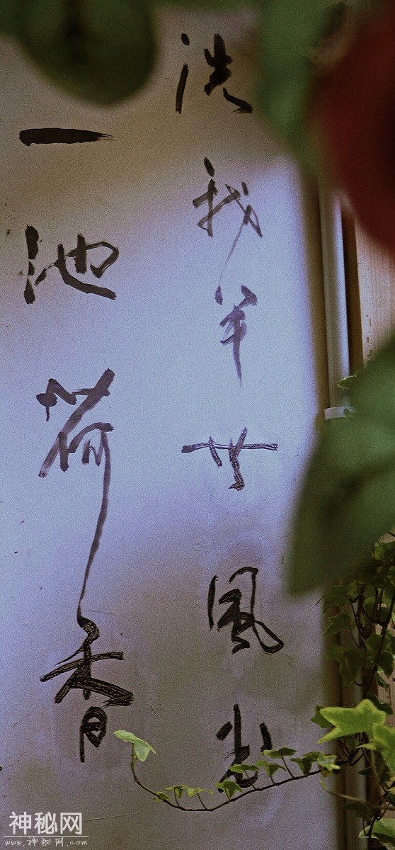 图虫人文摄影：荷塘·诗意餐厅-6.jpg