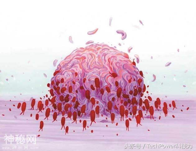 最终消灭癌症的竟会是病毒？强生公司十亿美元投资以毒抗癌新疗法-4.jpg