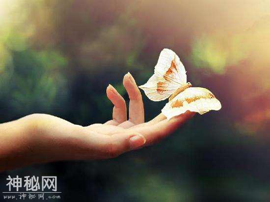 发现“因”-2.jpg