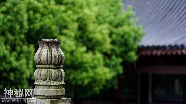 发现“因”-1.jpg