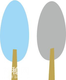 新疆人文地理丨草木青·杏花开-4.jpg