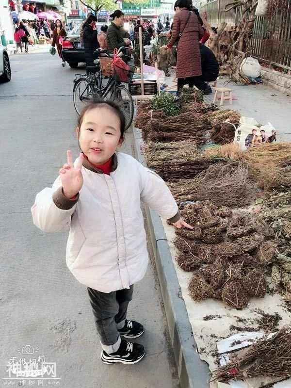 图说幼教 走进武夷山市实验幼儿园：又是一年柴头会 武夷萌娃来相会-5.jpg
