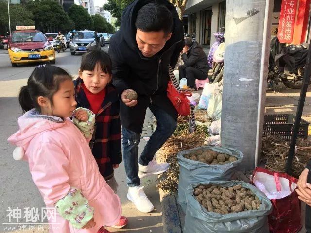 图说幼教 走进武夷山市实验幼儿园：又是一年柴头会 武夷萌娃来相会-3.jpg