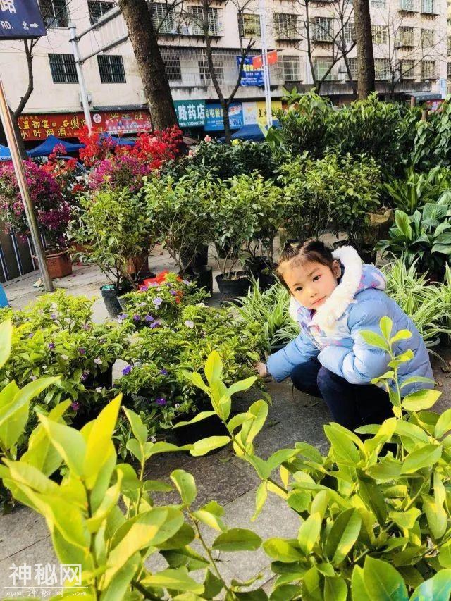 图说幼教 走进武夷山市实验幼儿园：又是一年柴头会 武夷萌娃来相会-10.jpg