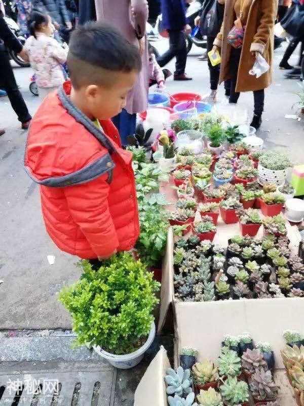 图说幼教 走进武夷山市实验幼儿园：又是一年柴头会 武夷萌娃来相会-8.jpg