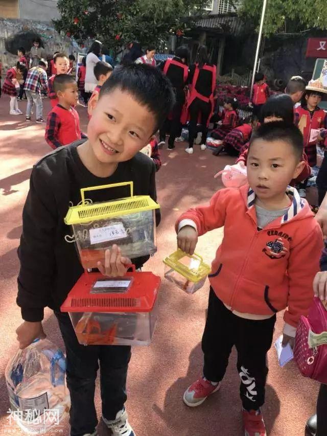 图说幼教 走进武夷山市实验幼儿园：又是一年柴头会 武夷萌娃来相会-38.jpg