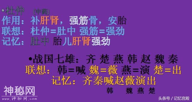 为什么你记不住？为什么你不能过目不忘？为什么别人是学霸神童？-3.jpg