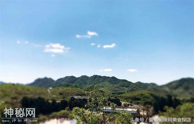 「紫塞」农家游｜蓟县悦来客栈“珍稀的远古界地质遗迹”!-7.jpg
