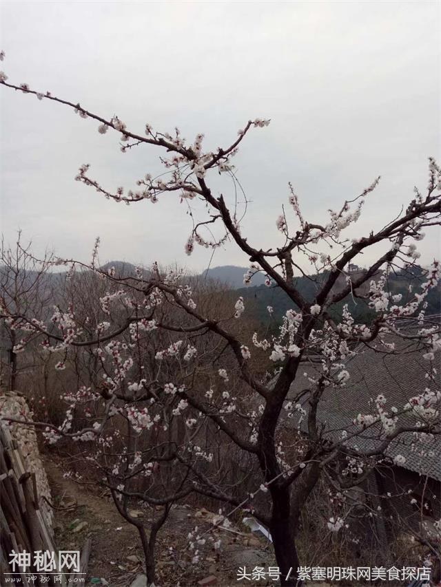 「紫塞」农家游｜蓟县悦来客栈“珍稀的远古界地质遗迹”!-10.jpg