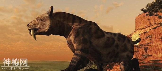 科学家最想“复活”的10种灭绝动物 真的可能实现-8.jpg