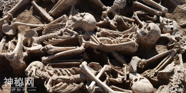 DNA测序发现，7000年前乙肝病毒与现在大为不同，有可能卷土重来-2.jpg