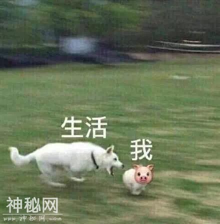 我和生活……来点鸡汤吧-3.jpg